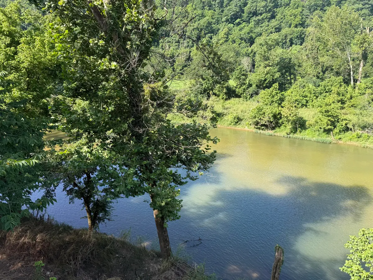 000 County Road 176, Dora, MO 65637 - #1