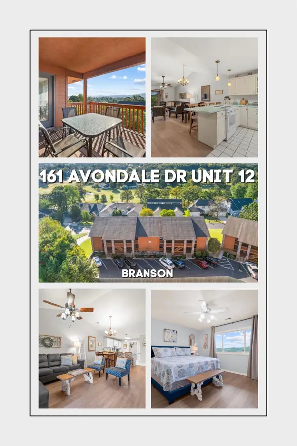 161 Avondale Drive #12, Branson, MO 65616