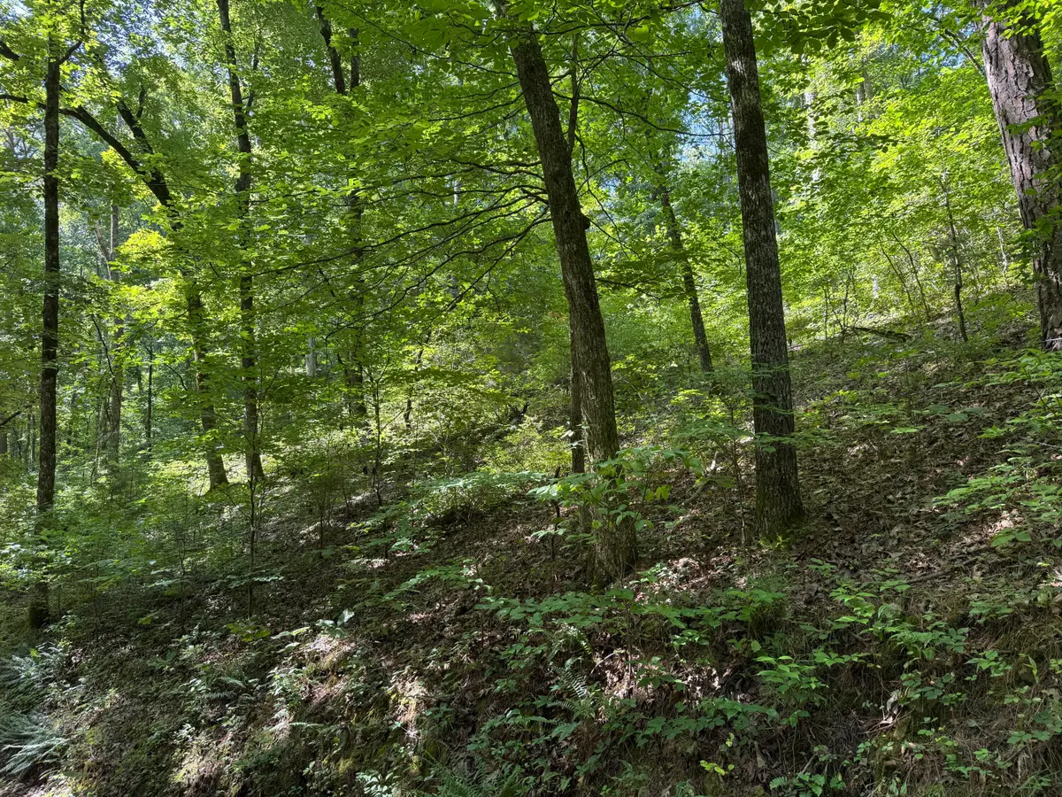 000 County Road 179, Dora, MO 65637 - #1
