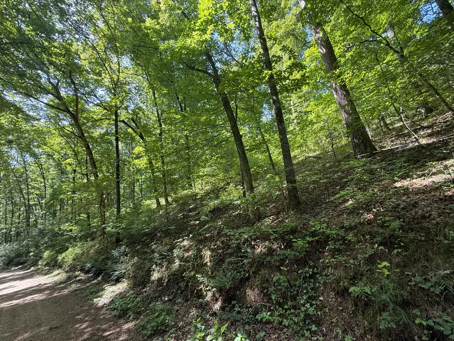 000 County Road 179, Dora, MO 65637 - #3