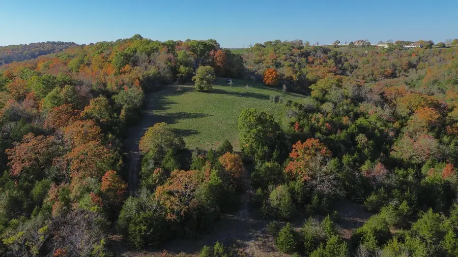 3994 Us Highway 160, Walnut Shade, MO 65771 - #2