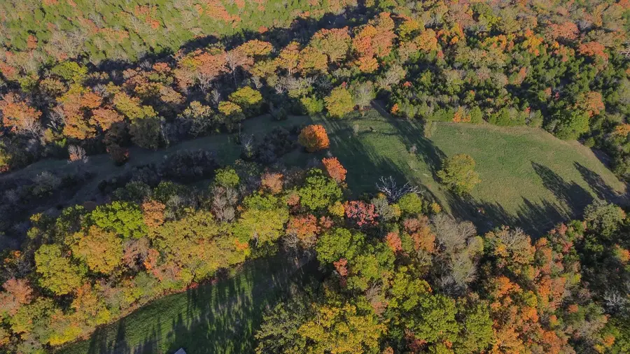 3994 Us Highway 160, Walnut Shade, MO 65771 - #3