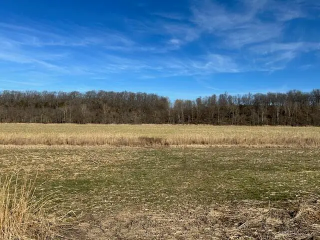 000 Holly Road, Pierce City, MO 65723 - #3