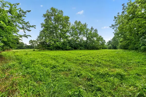 000 N Farm Road 53, Walnut Grove, MO 65770