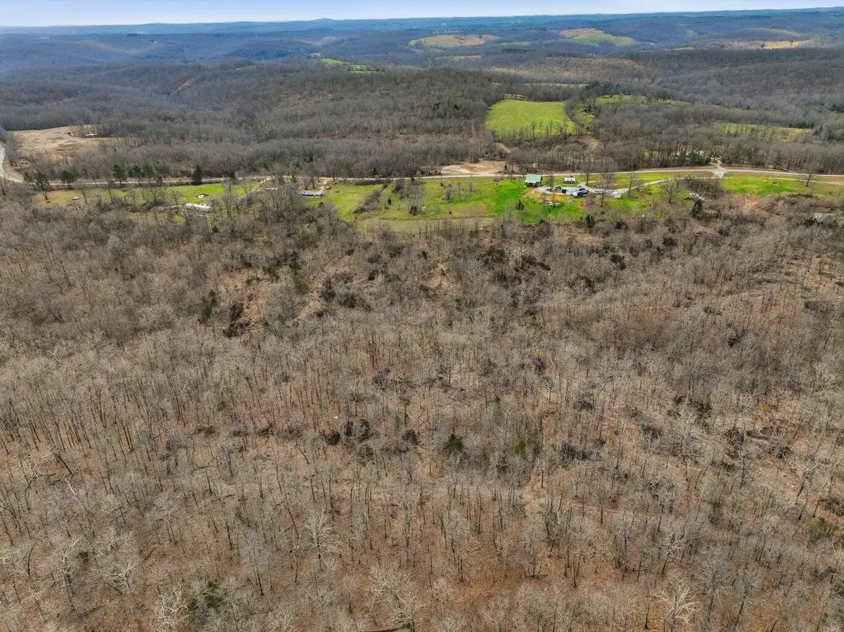 000 Highway U #Tract B, Willow Springs, MO 65793 - #1
