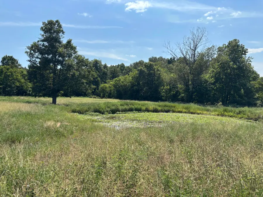 3922 County Road 534, Ellington, MO 63638 - #2
