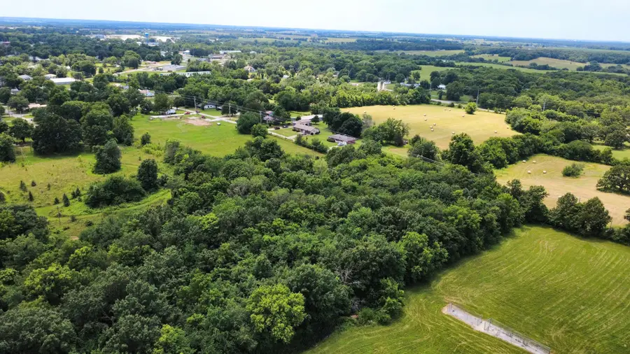510 Lilly Street Street, Greenfield, MO 65661 - #3