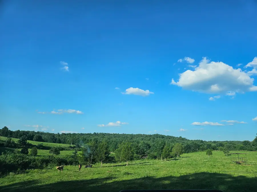 4118 County Road U-659, Birch Tree, MO 65438 - #2