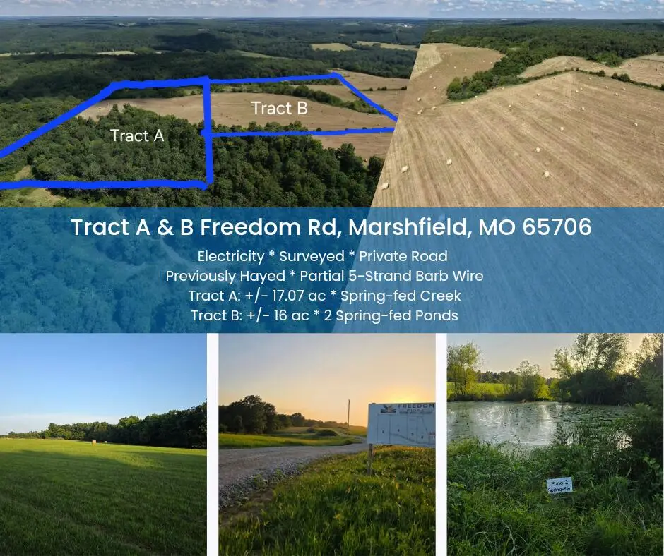 Tract B Freedom Road, Marshfield, MO 65706 - #1
