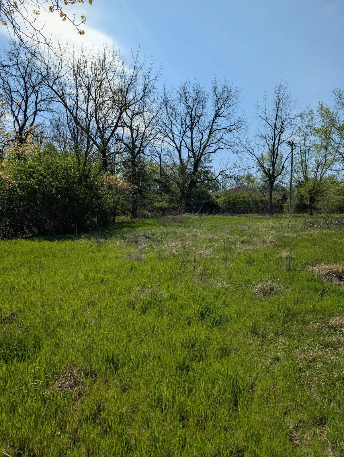 3624 N Farm Road 147, Springfield, MO 65803 - #1