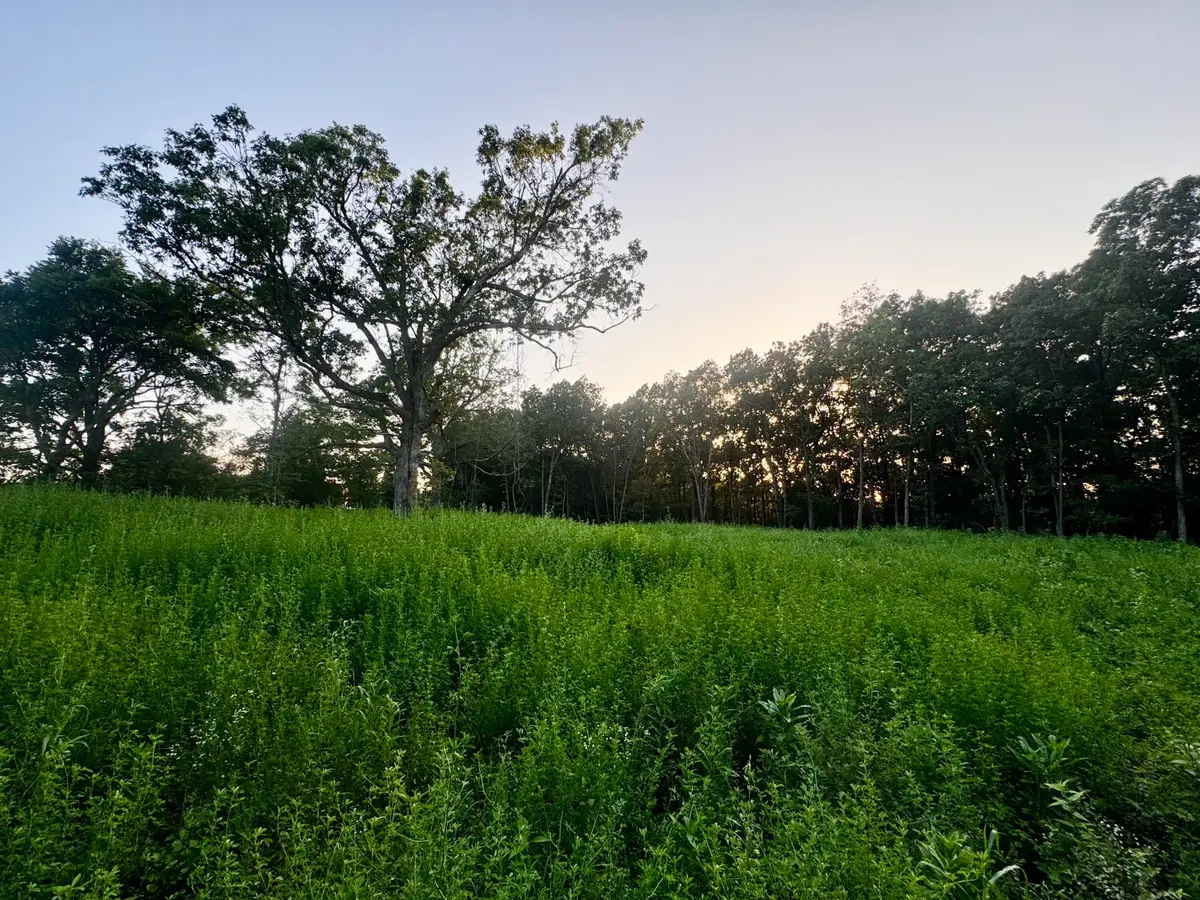 000 Lucky Road, Seymour, MO 65746 - #1