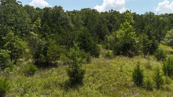 0 Mills Valley Boulevard, Marshfield, MO 65706