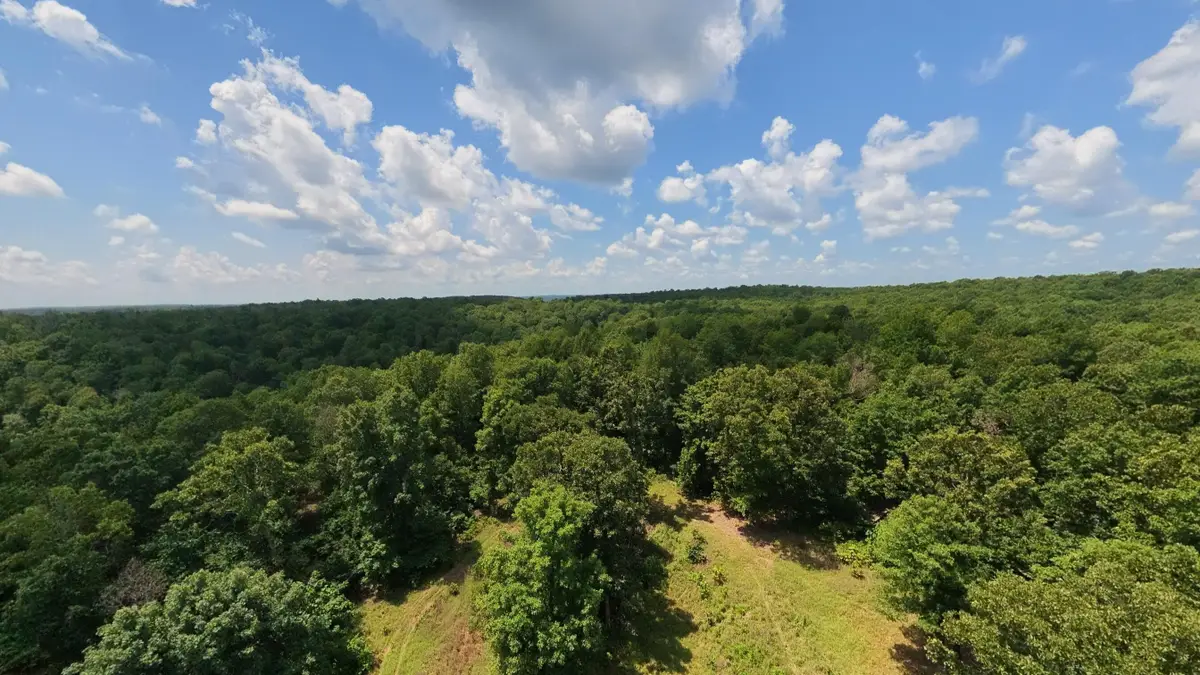 10824 Upper Janes Creek Road, Ravenden, AR 72459 - #1