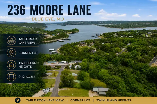 236 Moore Lane, Blue Eye, MO 65611