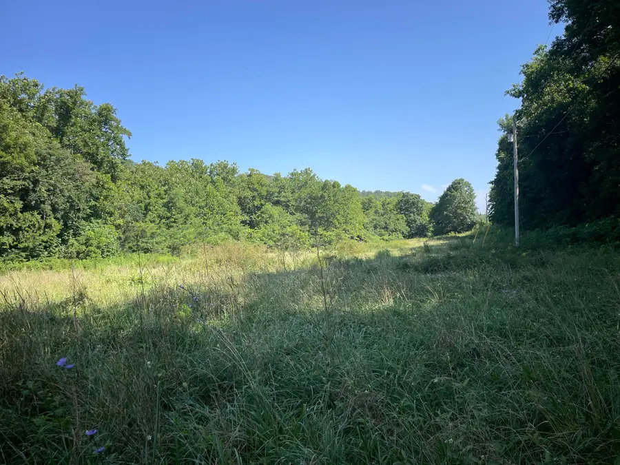 16569 Co Road #14-533, Ava, MO 65608 - #3
