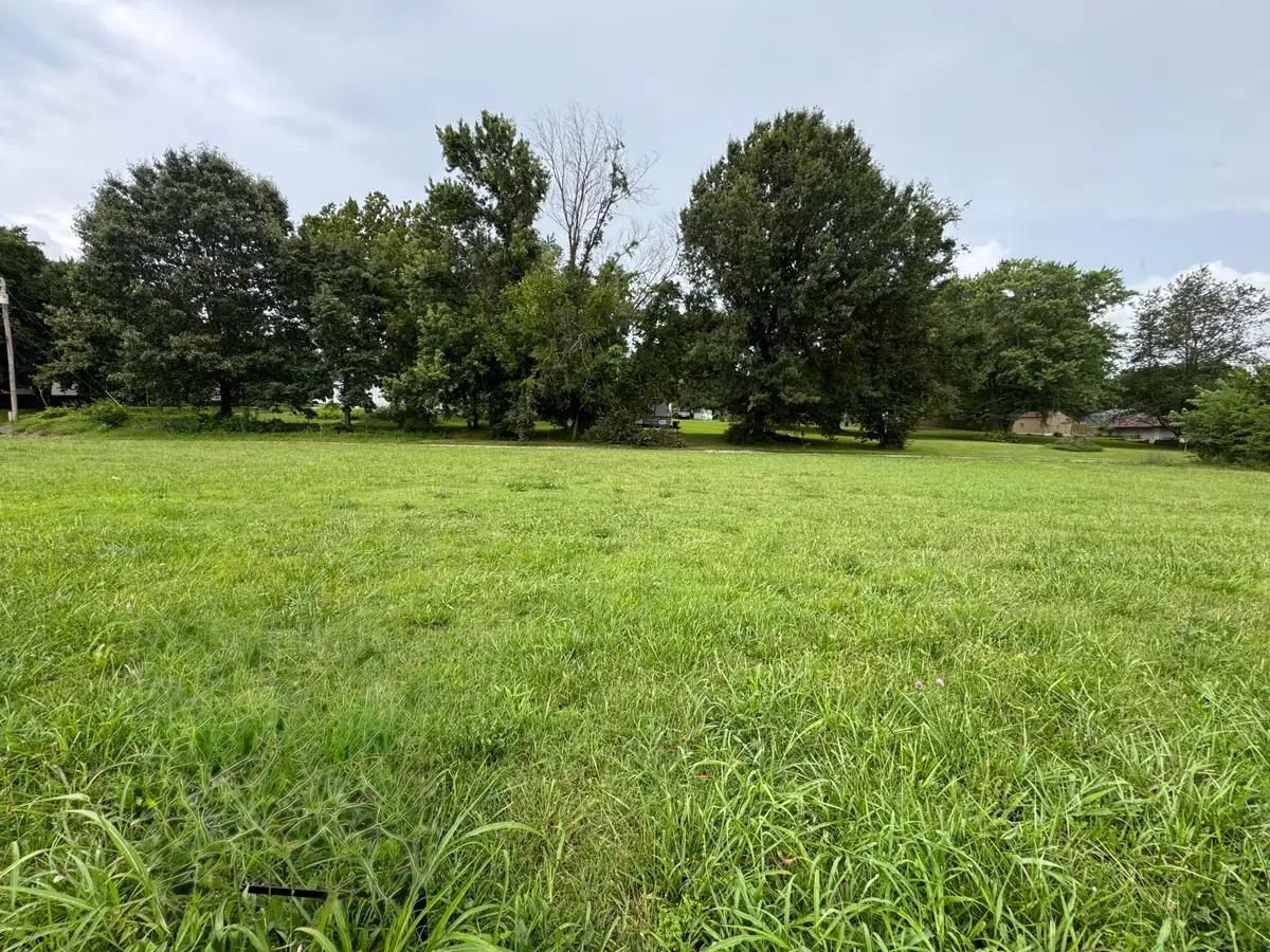 310 S Gulf Street, Walnut Grove, MO 65770 - #1