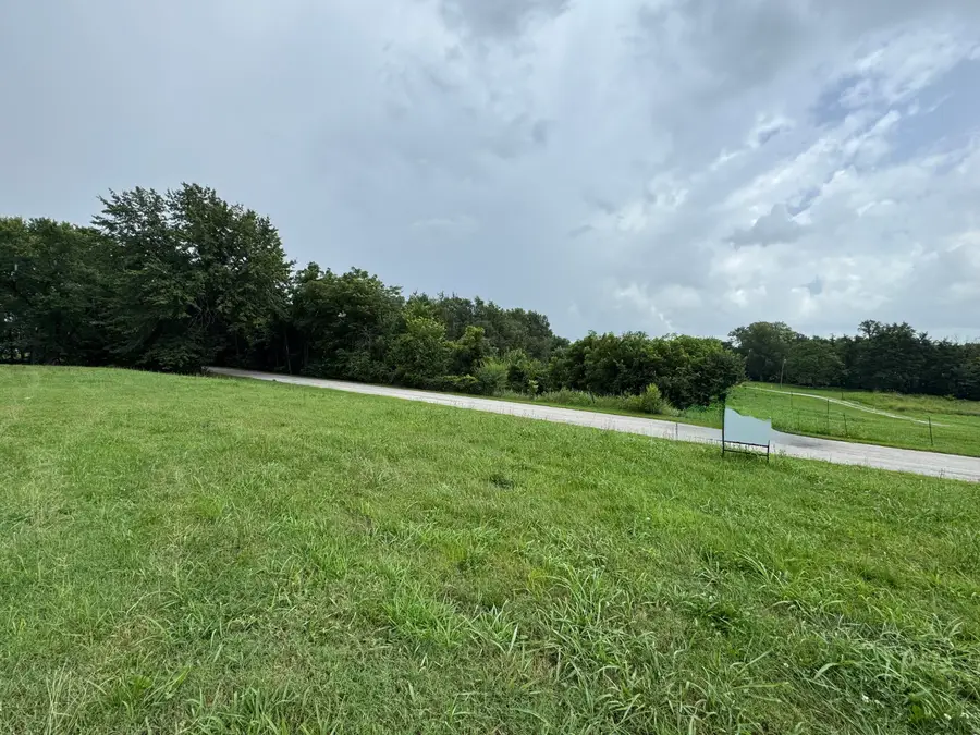 310 S Gulf Street, Walnut Grove, MO 65770 - #3
