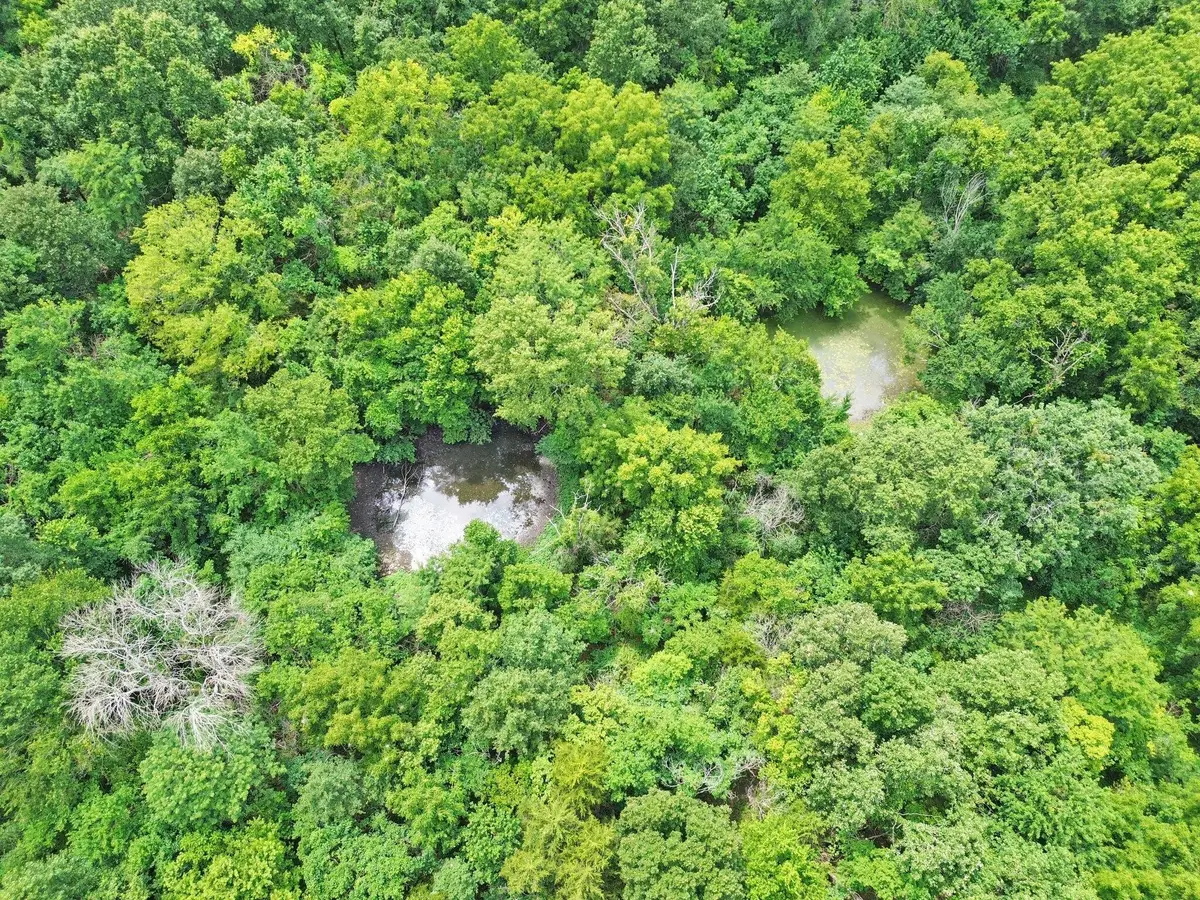 Address Withheld By Seller, Lockwood, MO 65682 - #1