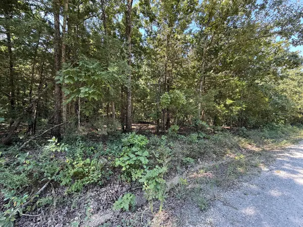 16 +- Ac Spring Valley Road, Shell Knob, MO 65747