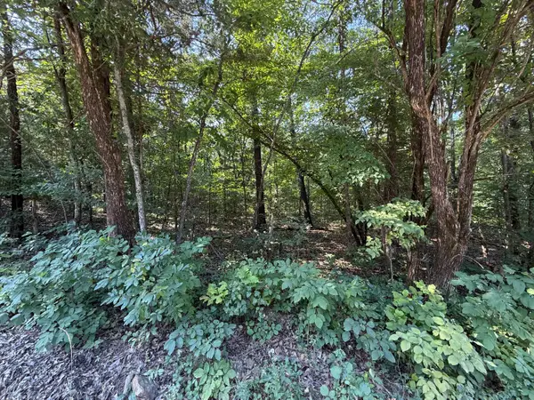 16+- Acres Spring Valley Road, Shell Knob, MO 65747