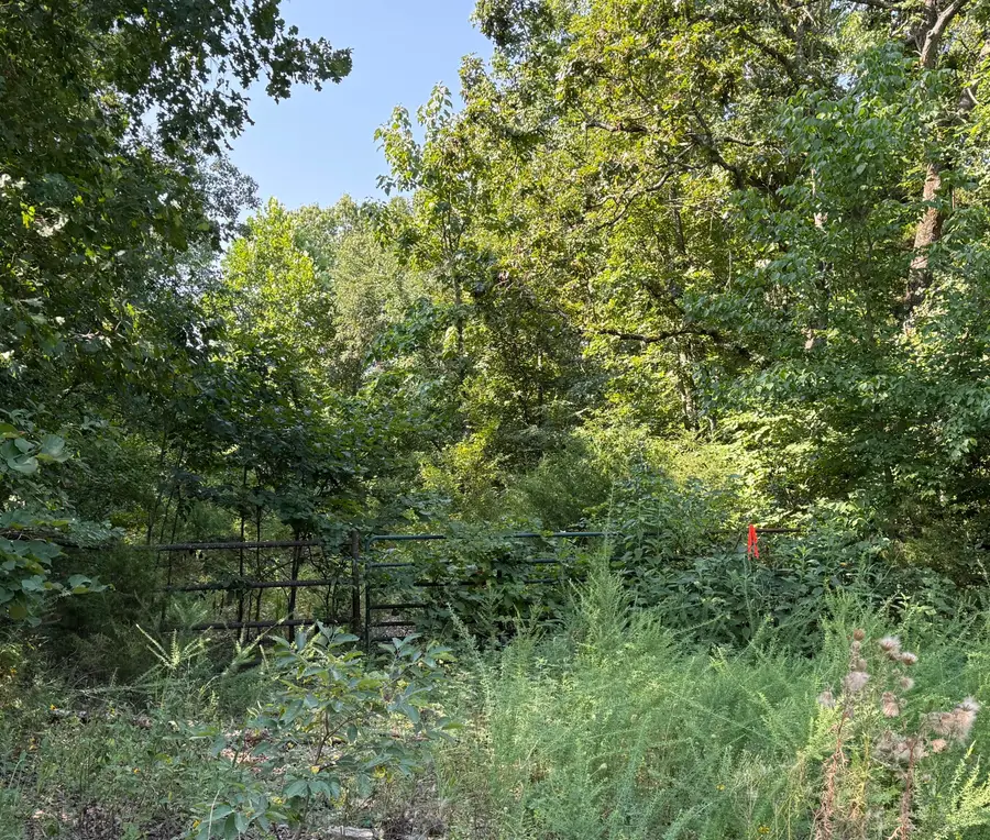 16+- Acres Spring Valley Road, Shell Knob, MO 65747 - #2