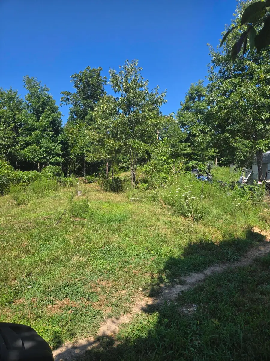 10302 County Road 459, Birch Tree, MO 65438 - #2
