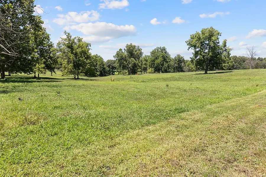 359 E Dade 74, Greenfield, MO 65661 - #3