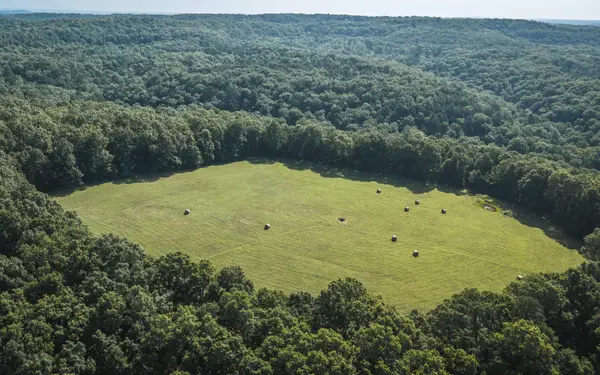 Tract 3 Private Drive #2336, Norwood, MO 65717