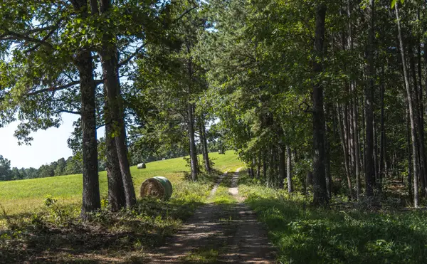 Tract 4 Private Drive #2336, Norwood, MO 65717