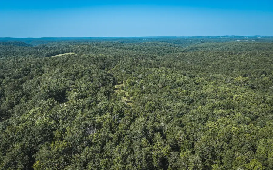 Tract 4 Private Drive #2336, Norwood, MO 65717 - #3
