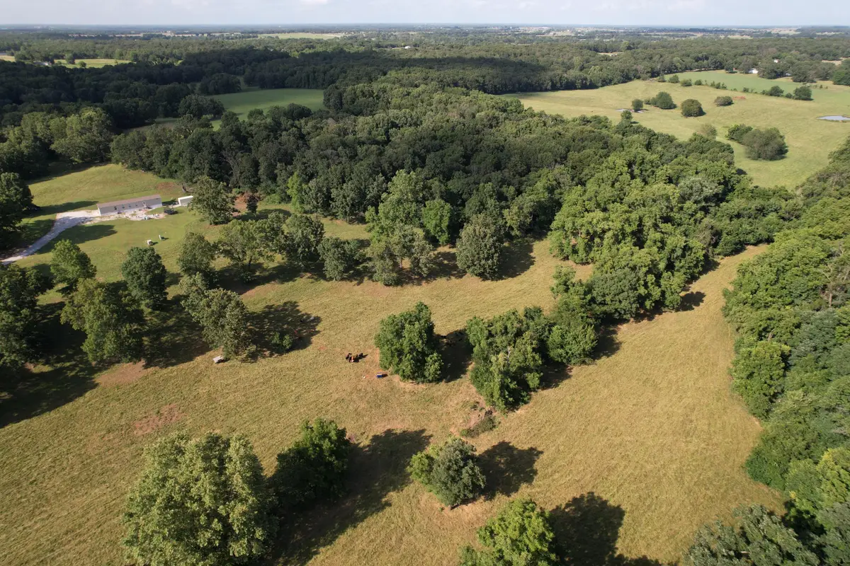 6731 Raccoon Road, Granby, MO 64844 - #1