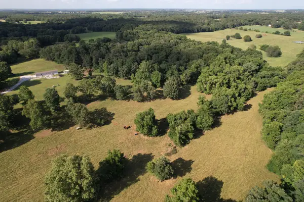 6731 Raccoon Road, Granby, MO 64844