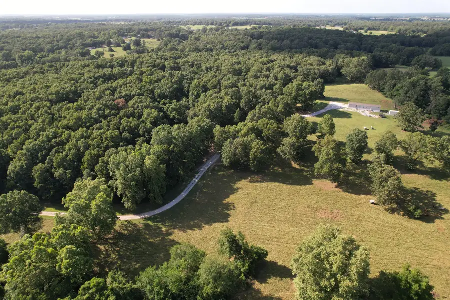 6731 Raccoon Road, Granby, MO 64844 - #2