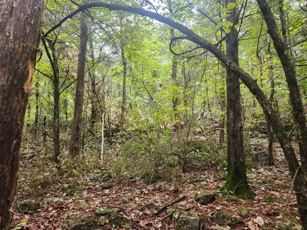 000 State Highway 86, Eagle Rock, MO 65641