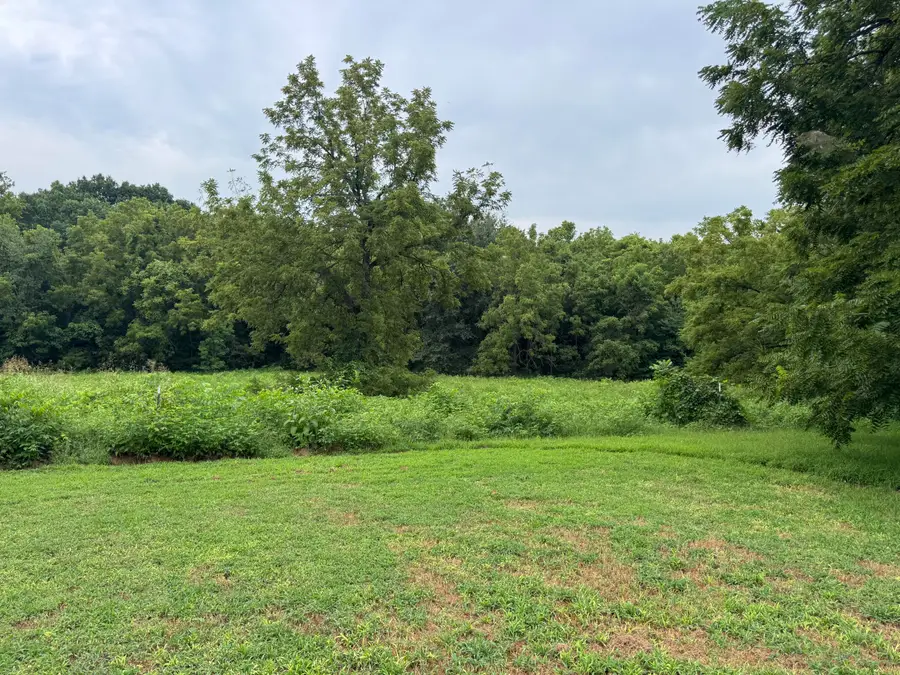 172 S Dade 249, Walnut Grove, MO 65770 - #2