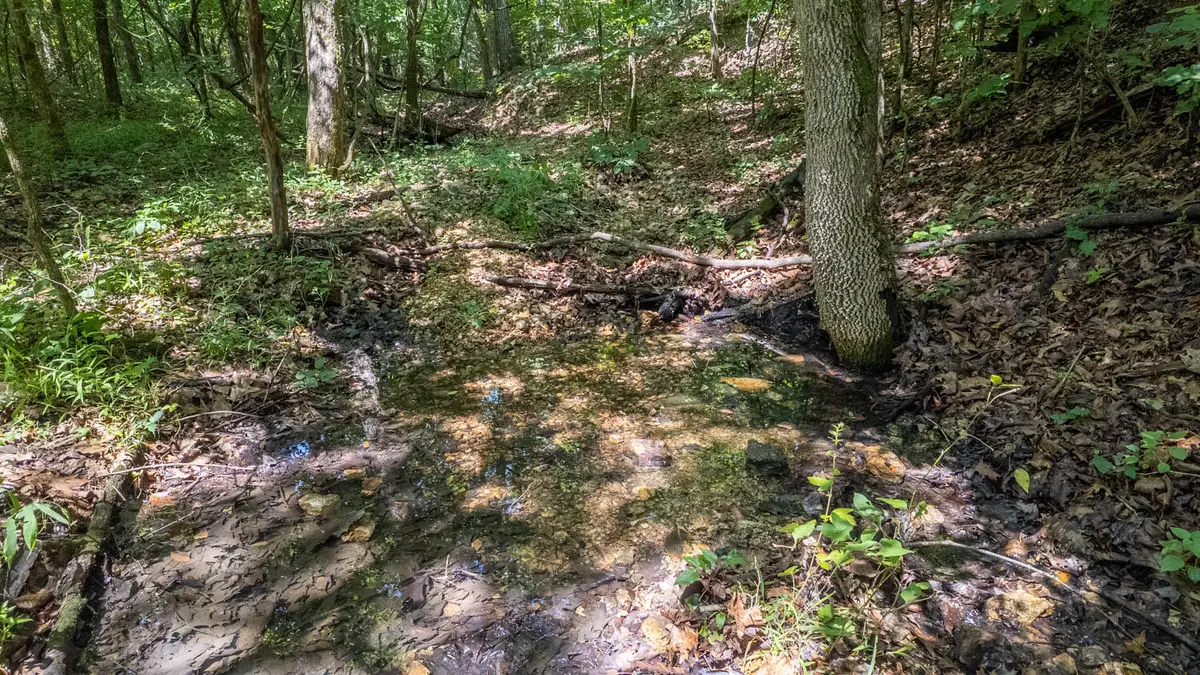 Tract 3 Upper Janes Creek Road, Ravenden, AR 72459 - #1