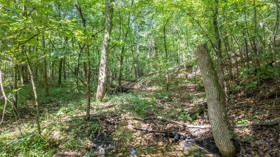 Tract 3 Upper Janes Creek Road, Ravenden, AR 72459 - #3