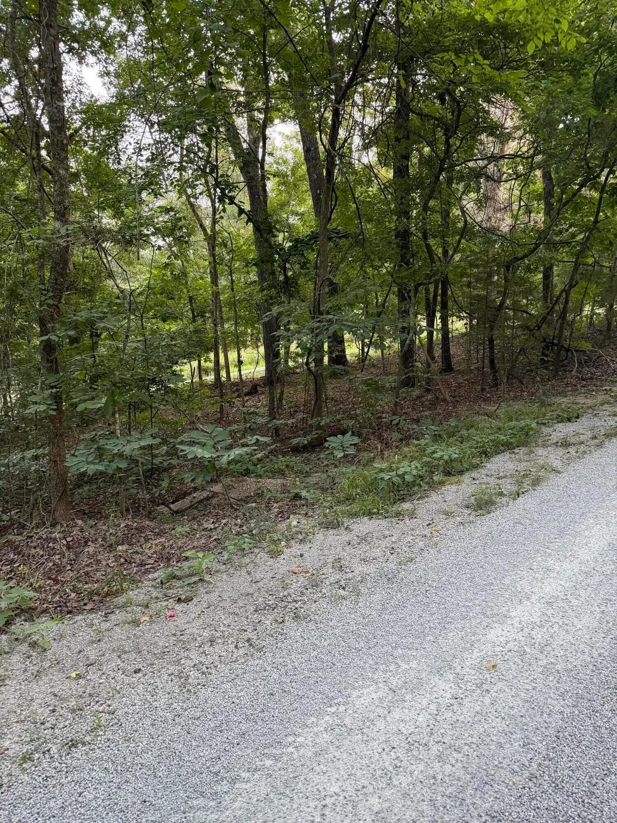 Tbd Chiefs Lane, Shell Knob, MO 65747 - #1