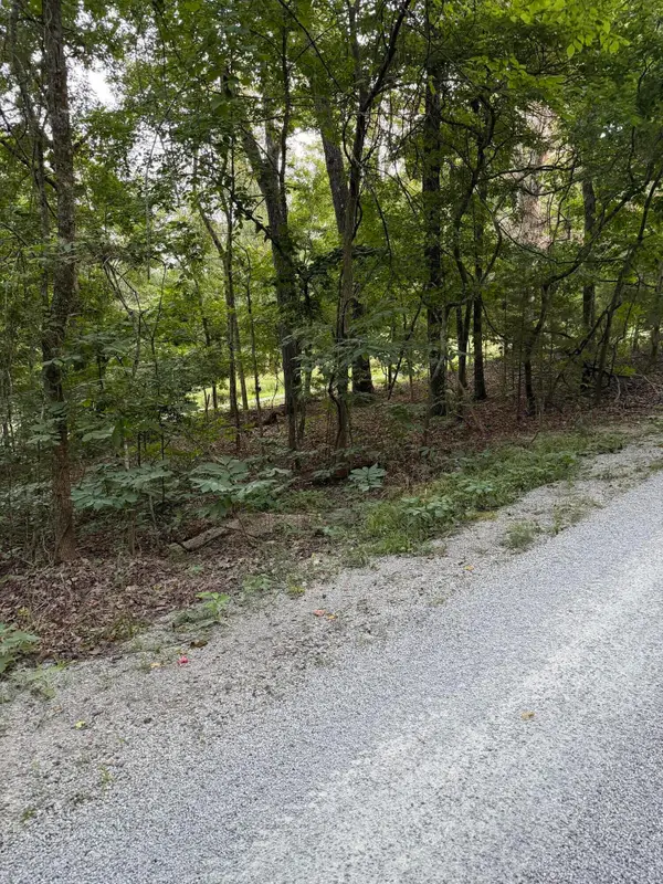 Tbd Chiefs Lane, Shell Knob, MO 65747