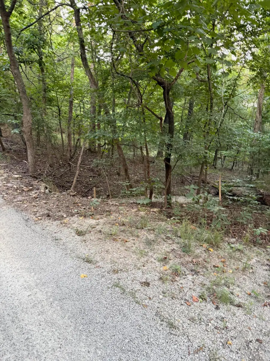Tbd Chiefs Lane, Shell Knob, MO 65747 - #2
