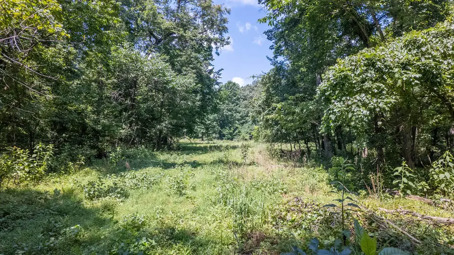 Tract 1 Upper Janes Creek Road, Ravenden, AR 72459 - #3
