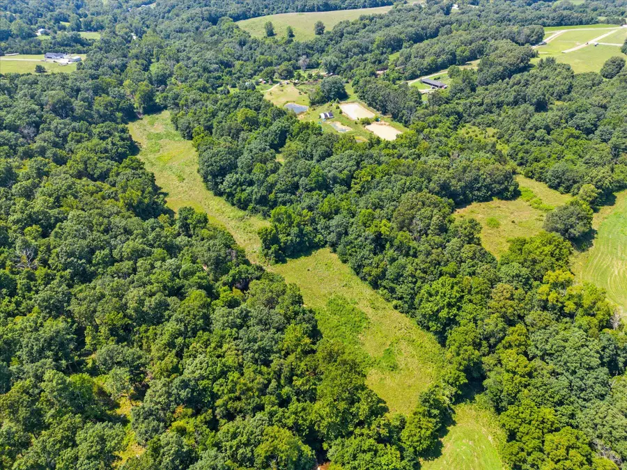 000 Green Hill Road, Fordland, MO 65652 - #2