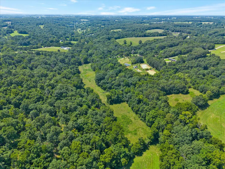 000 Green Hill Road, Fordland, MO 65652 - #3