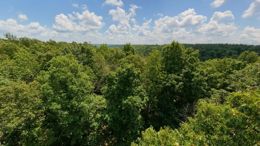 Tract 5 Upper Janes Creek Road, Ravenden, AR 72459 - #3