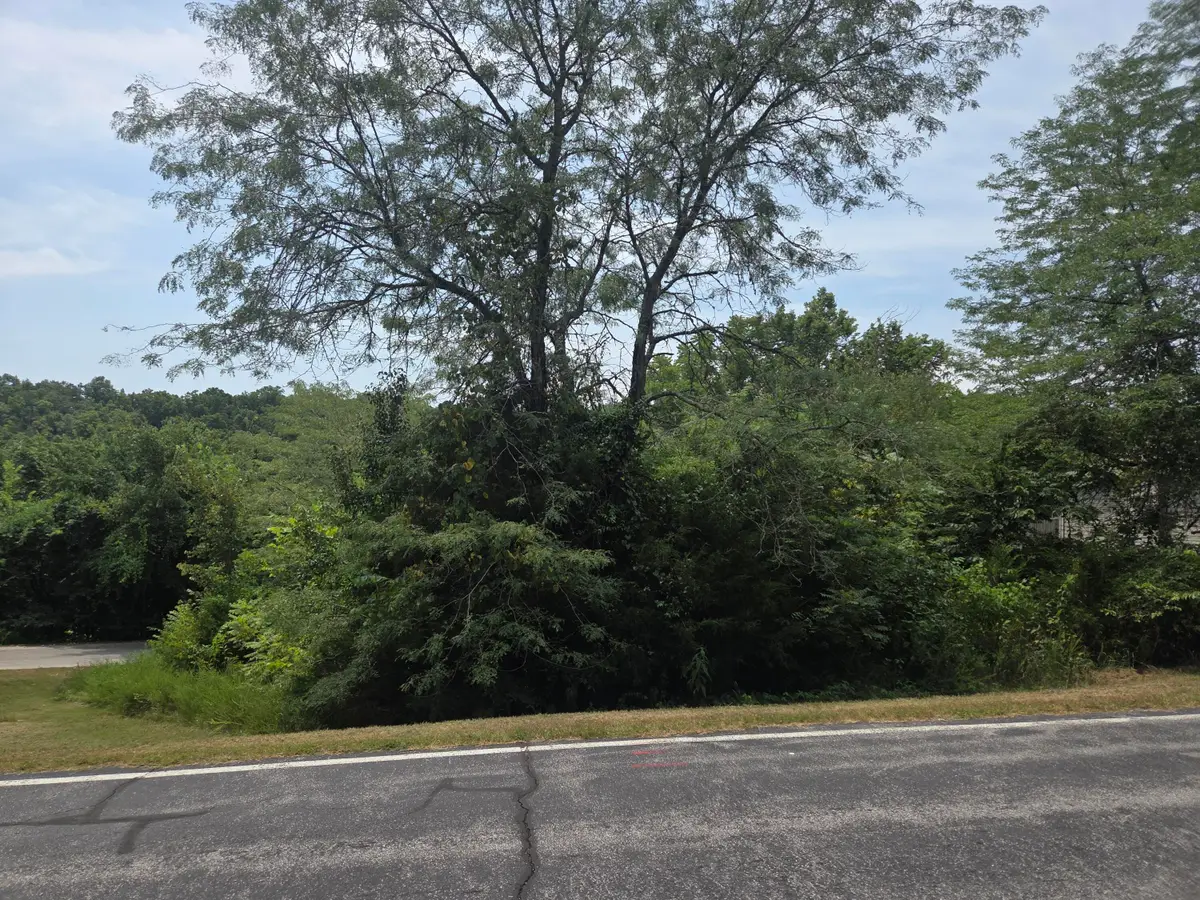 Lot 30 Roark Branch Road, Branson West, MO 65737 - #1