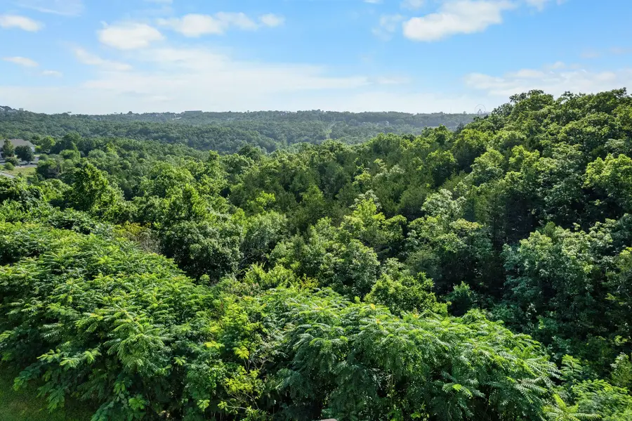 2919 Vinyards Parkway #2, Branson, MO 65616 - #3