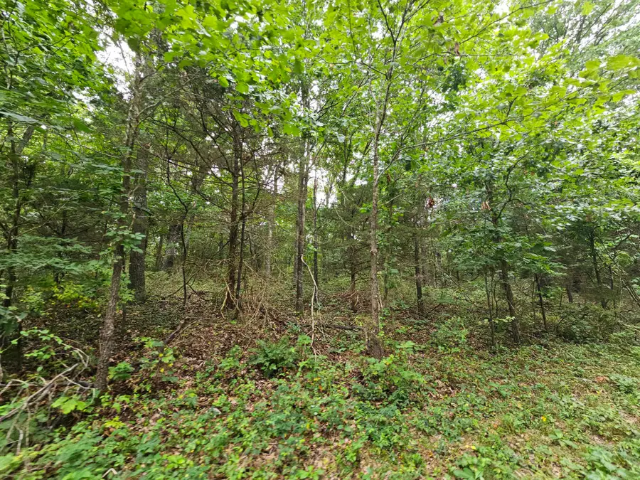 000-18 Ac Westview Road, Neosho, MO 64850 - #3