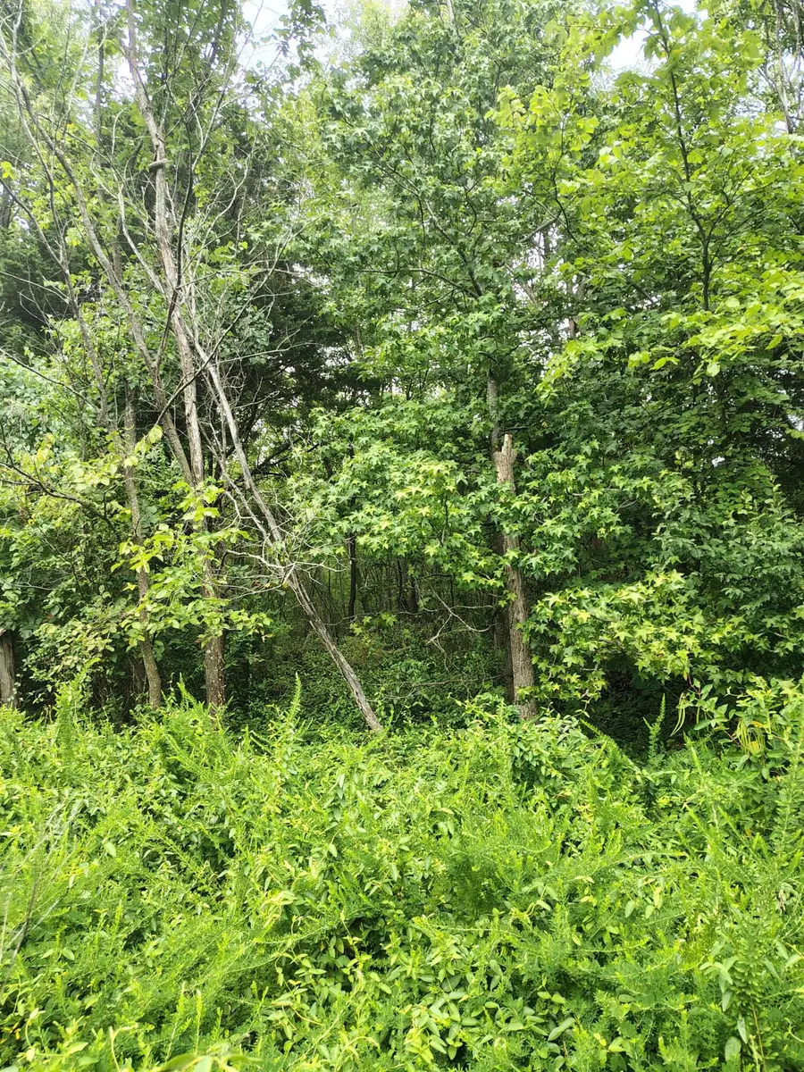 000 Highway 65, Urbana, MO 65767 - #2