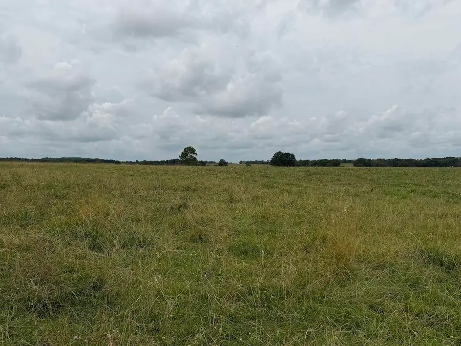 Tract 2 State Route T, Bolivar, MO 65613 - #2