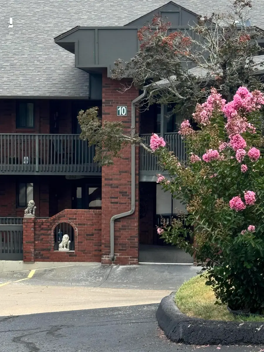 150 Sunken Forest Drive # 252, Forsyth, MO 65653 - #2